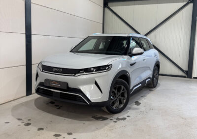 BYD Atto